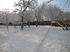 Park Hayvancılık çiftliği
