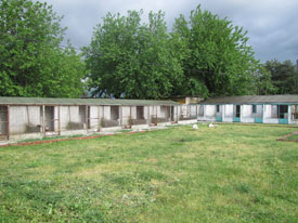 Park Hayvancılık çiftliği