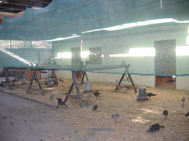 Park Hayvancılık çiftliği