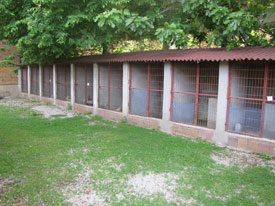 Park Hayvancılık çiftliği