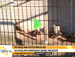 ÇİFTÇİ TV