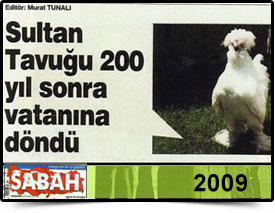 Basında Biz