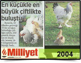 Basında Biz