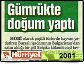 Basında Biz