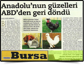 Basında Biz