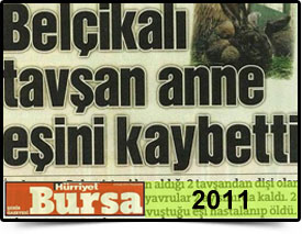 Basında Biz