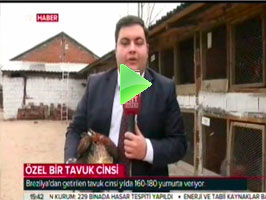 TRT Haber