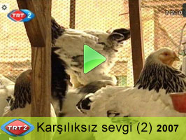 TRT 2 (KARŞILIKSIZ SEVGİ-2)