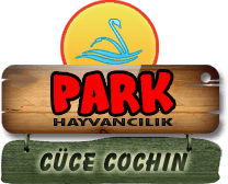 Park Hayvancılık