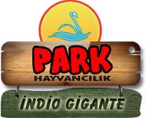 Park Hayvancılık